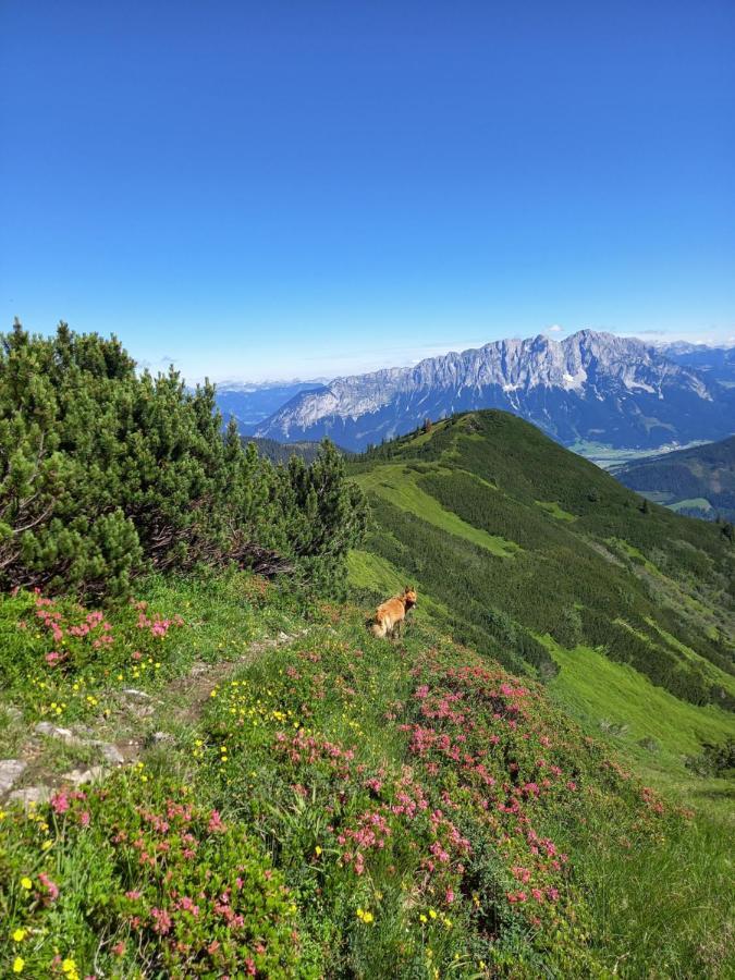 Apartment Schoenwetter Grosssolk ภายนอก รูปภาพ
